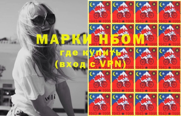 дмт Магас
