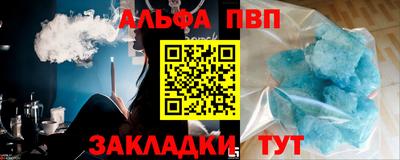 амф Гусев
