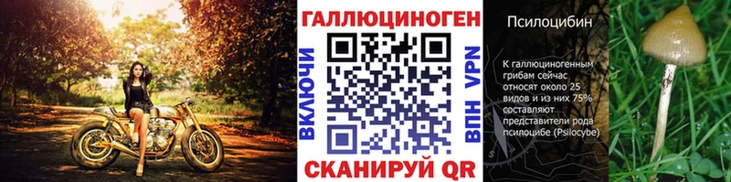 Псилоцибиновые грибы Psilocybe  shop Telegram  Надым 