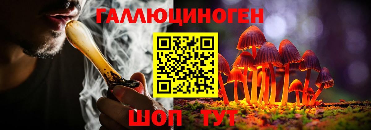 Псилоцибиновые грибы прущие грибы  Вход с VPN  Псилоцибиновые грибы Psilocybe  Надым 